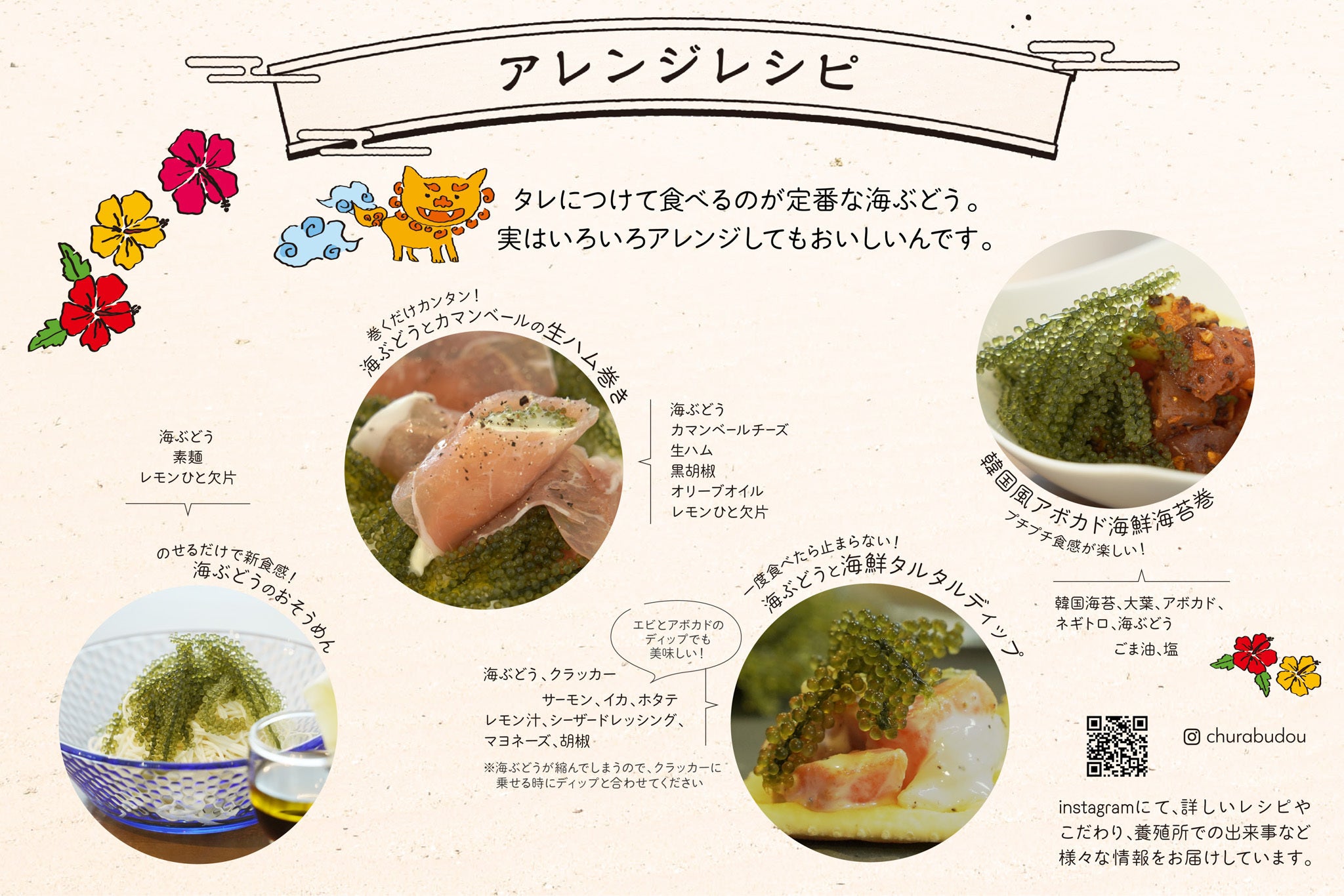 特選大粒 美らぶどう 父の作る海ぶどうをブランド化 廃棄から全国へ Campfire キャンプファイヤー 特選大粒 美らぶどう 父の作る海ぶどうをブランド化 廃棄から全国へ Campfire キャンプファイヤー