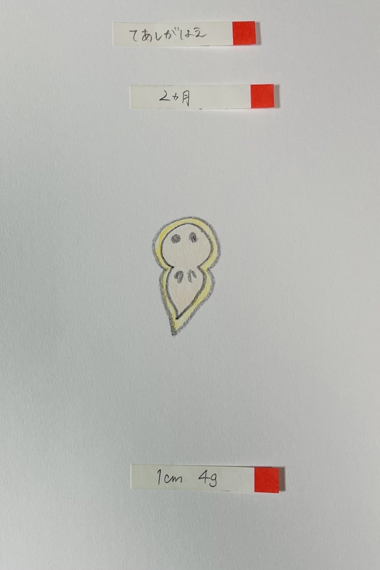 5番目のメイン画像