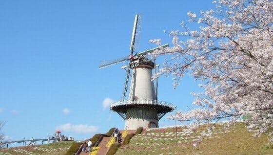 令和4年3月福島県沖地震からの復興に向け、「オランダ風車」の早期復旧を図りたい!　CAMPFIRE　(キャンプファイヤー)