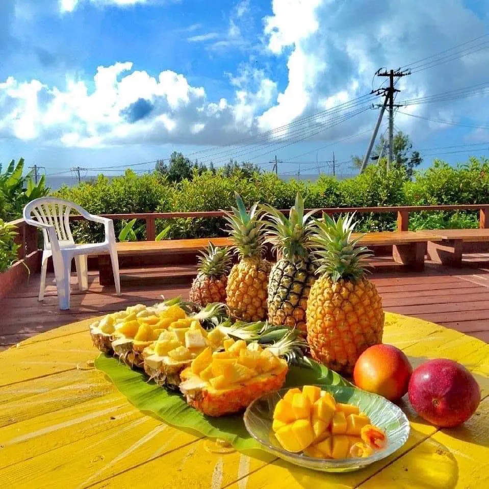 4番目のメイン画像