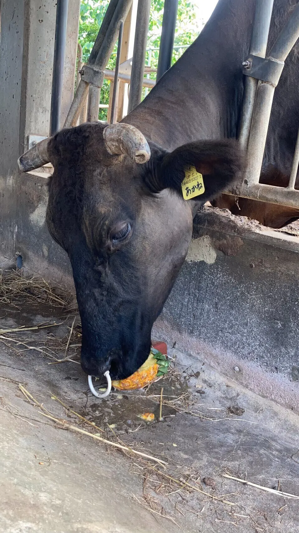 5番目のメイン画像