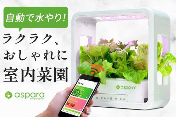 家庭菜園デビューに!特許技術でグングン成長!30日で収穫【室内用水耕栽培キット】