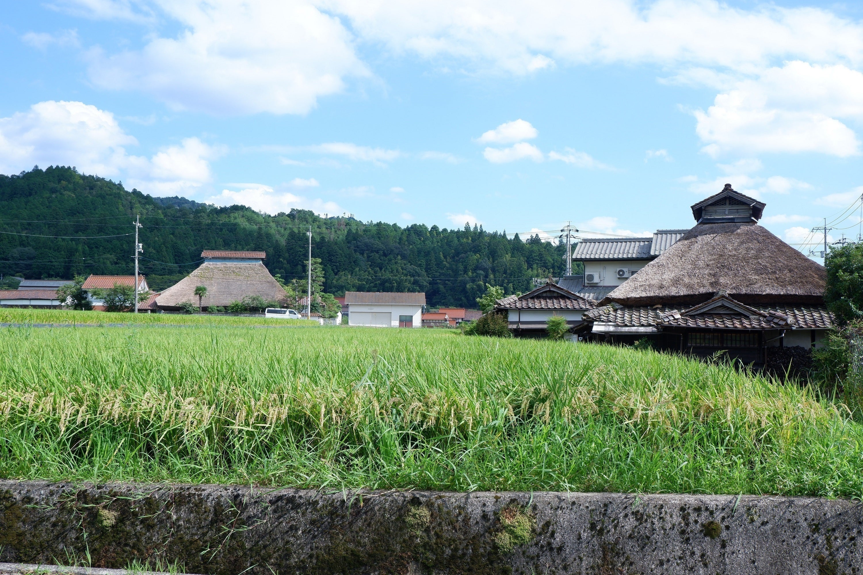 3番目のメイン画像