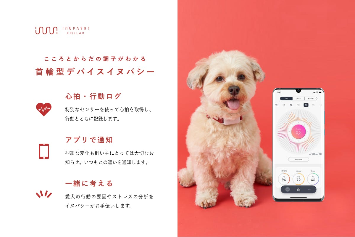 愛犬のこころとからだを見守るスマートデバイス「イヌパシー」！首輪型