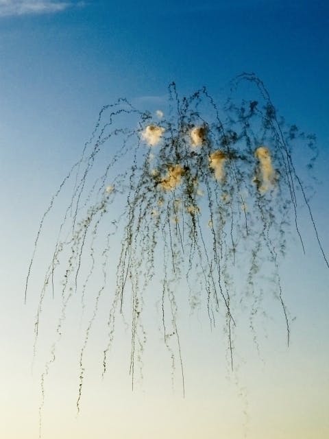 なかなか観ることのない 昼花火 を熊本で一度 Campfire キャンプファイヤー なかなか観ることのない 昼花火 を熊本で一度 Campfire キャンプファイヤー