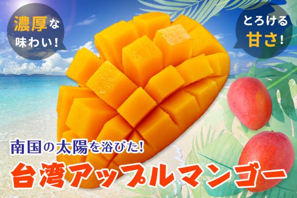 とろける甘さは格別！南国の太陽をたっぷり浴びた台湾アップルマンゴーを届けたい！