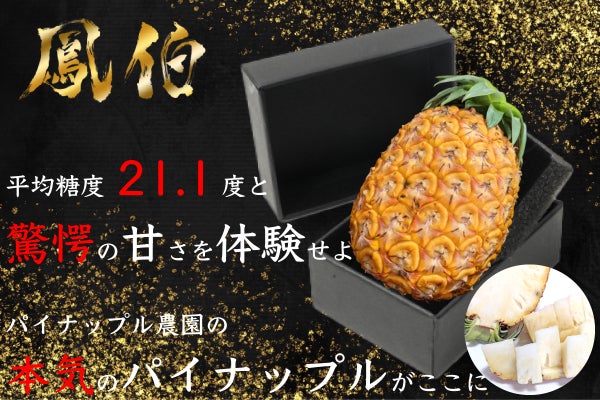 史上初！】平均糖度21.1度とパイナップルを超えた濃厚な甘さが味わえる