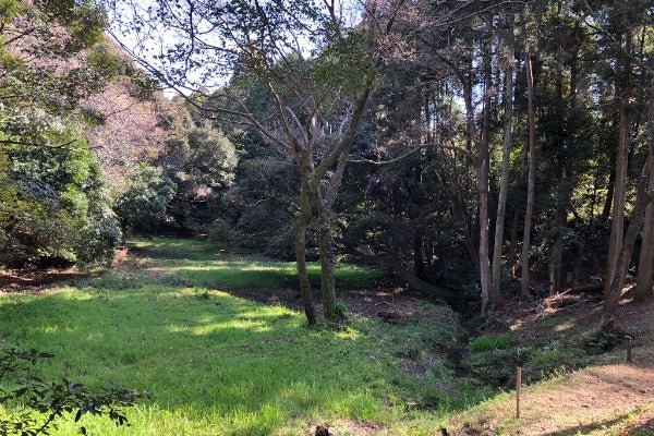 1番目のメイン画像