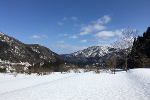 里山ビジネス研究所