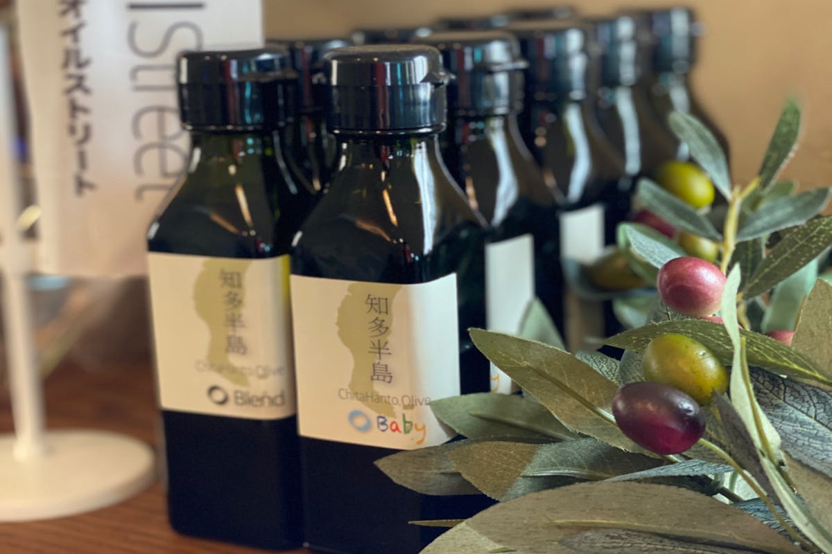 オリーブの実の赤ちゃんがたくさんいます Campfire キャンプファイヤー オリーブの実の赤ちゃんがたくさんいます Campfire キャンプファイヤー