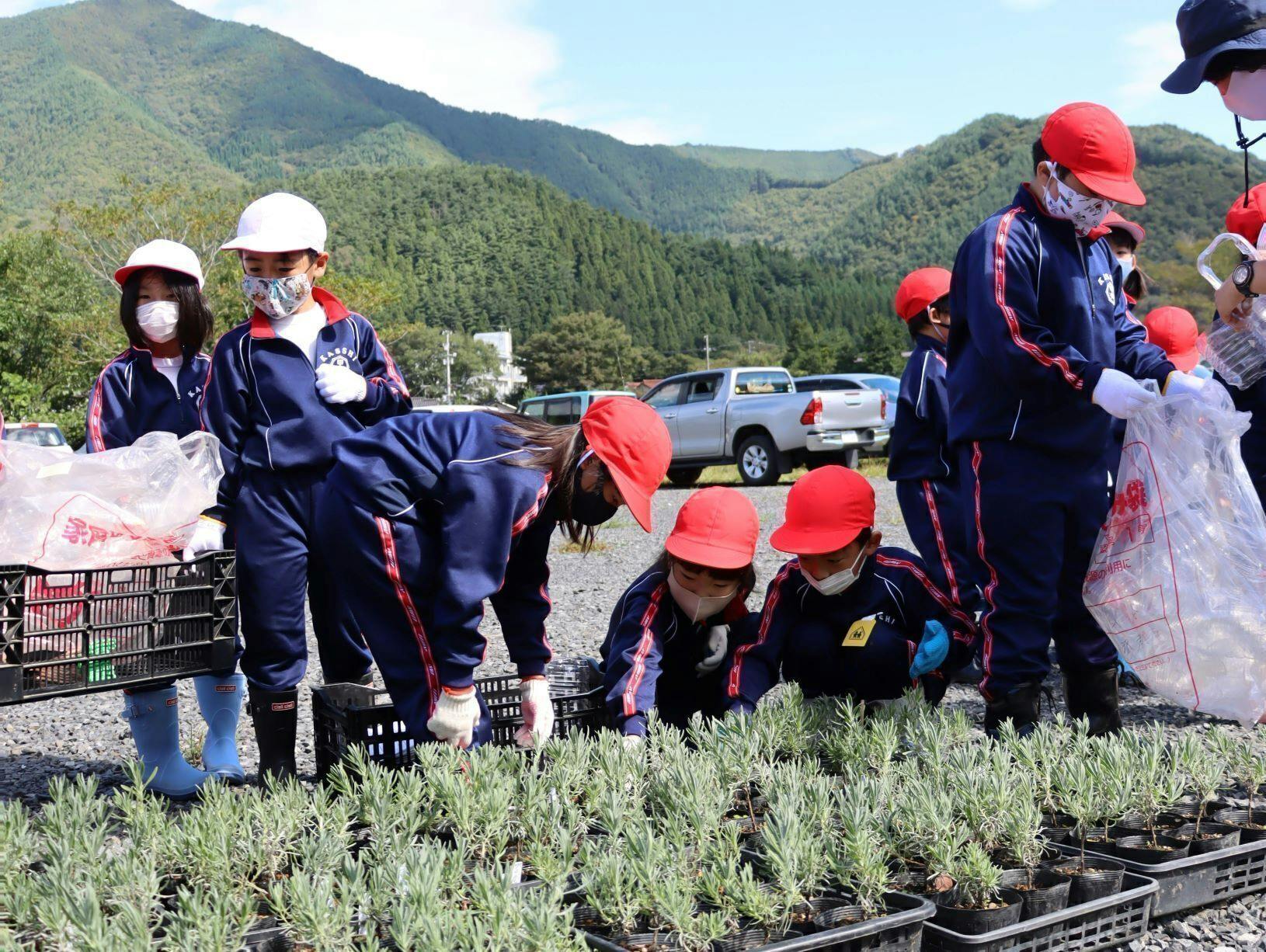 釜石市ラベンダー観光農園の整備支援 with L'Occitane