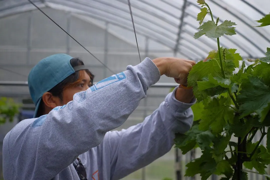 5番目のメイン画像