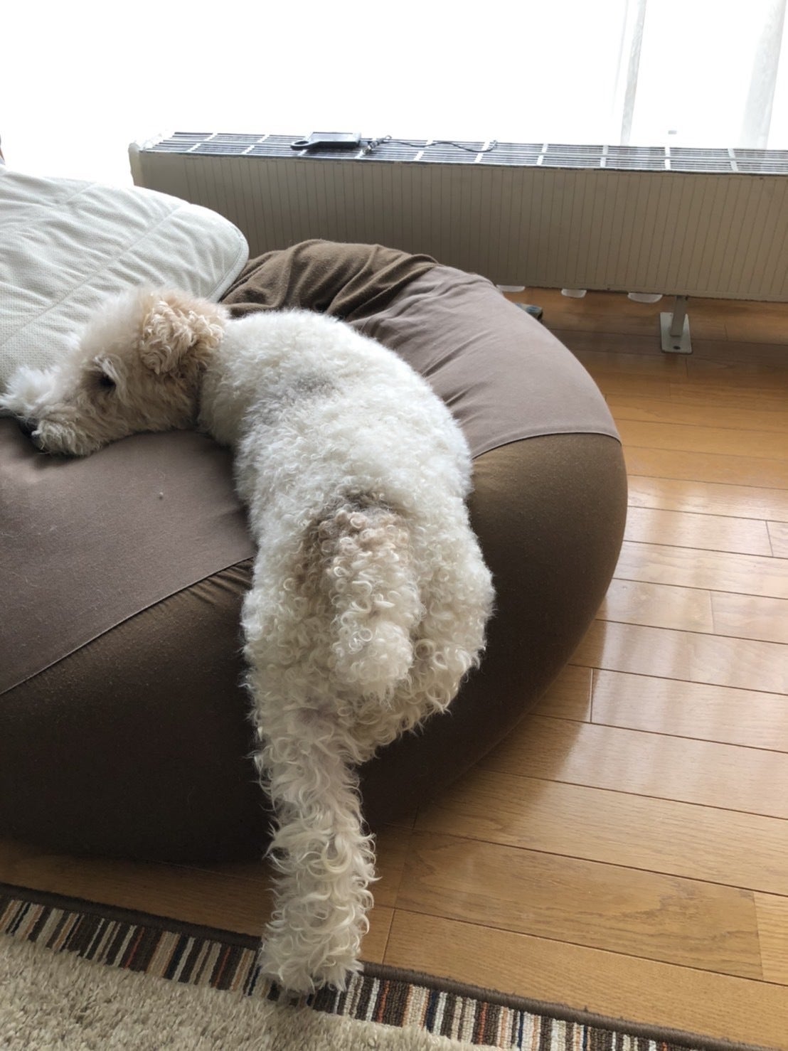 5番目のメイン画像