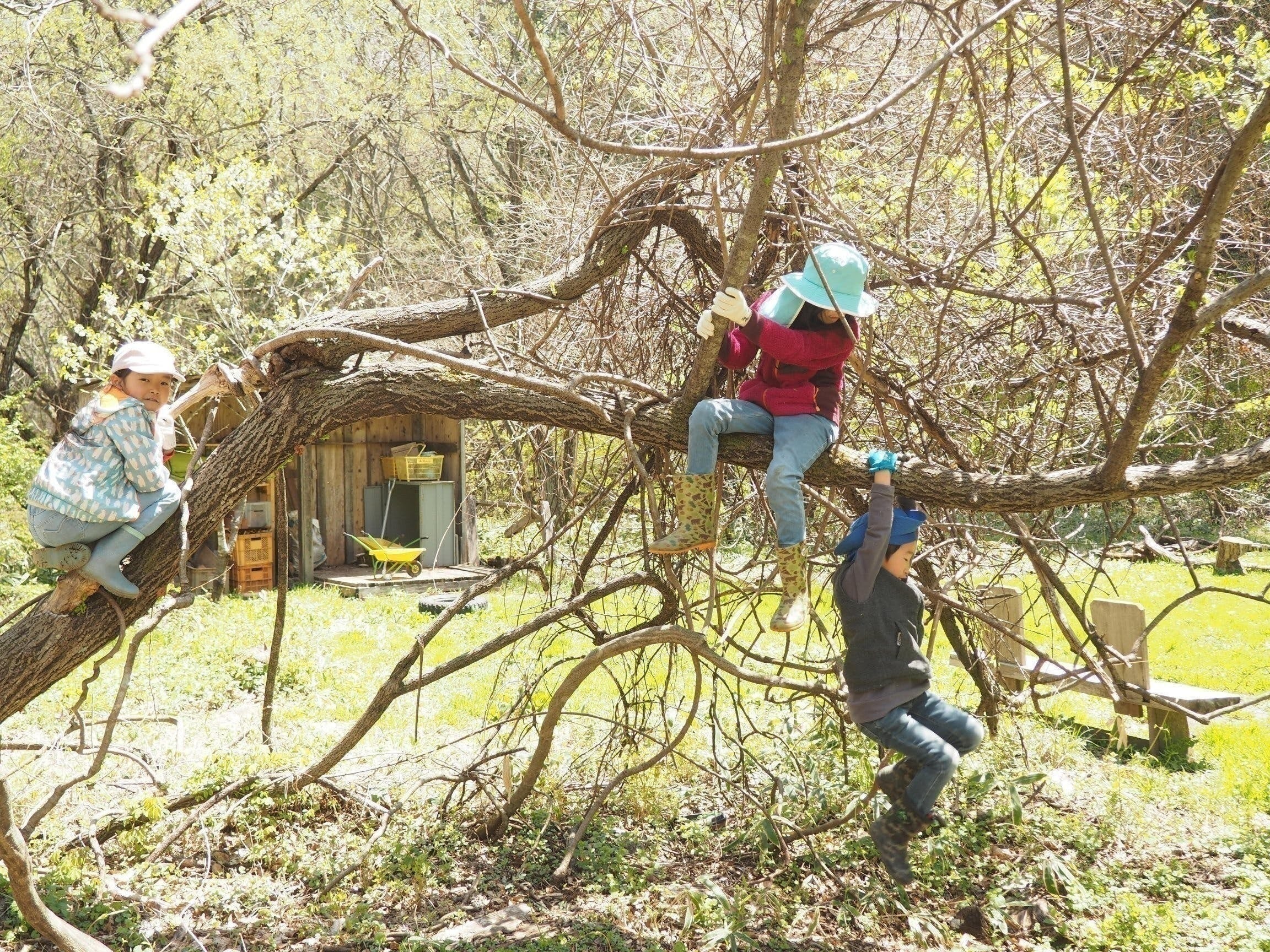 4番目のメイン画像