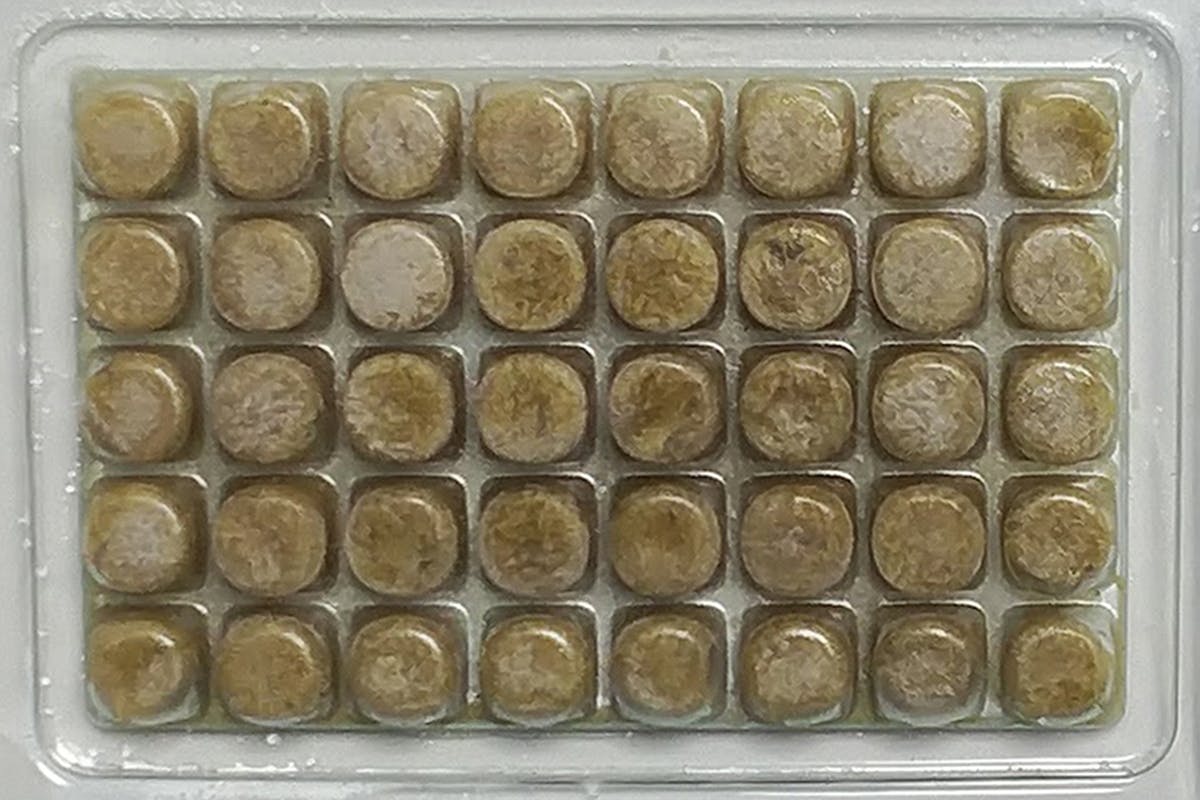 ペットボトルに2粒投入するだけ簡単グリーンウォーター Campfire キャンプファイヤー ペットボトルに2粒投入するだけ簡単グリーンウォーター Campfire キャンプファイヤー