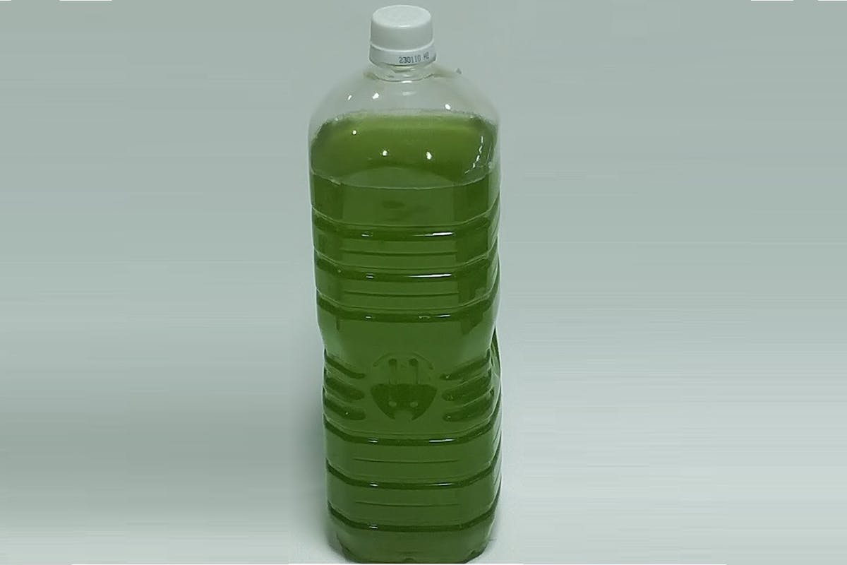 ペットボトルに2粒投入するだけ簡単グリーンウォーター Campfire キャンプファイヤー ペットボトルに2粒投入するだけ簡単グリーンウォーター Campfire キャンプファイヤー