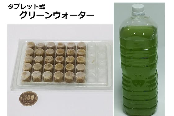 グリーンウォーター８リットル - 魚用品