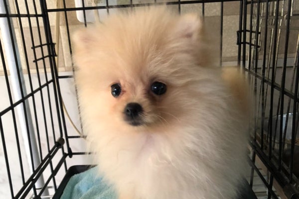 1番目のメイン画像