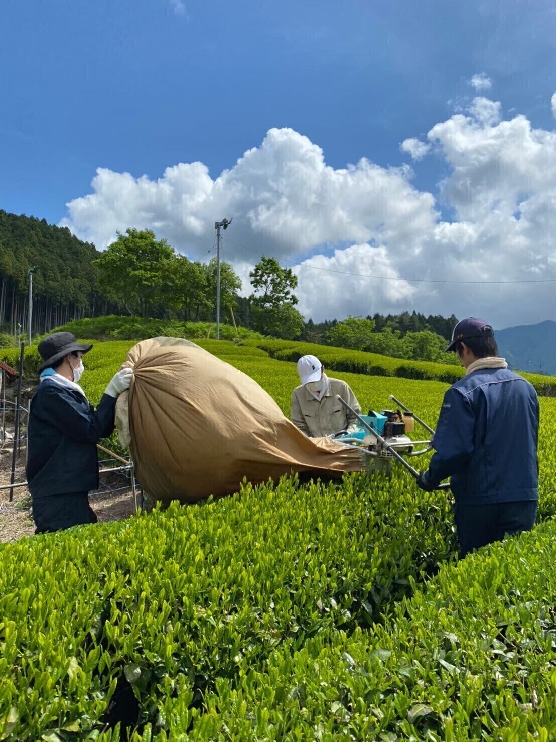 4番目のメイン画像