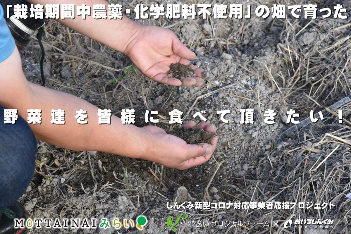 栽培期間中農薬・化学肥料不使用」の畑で育った野菜達を皆様に食べて