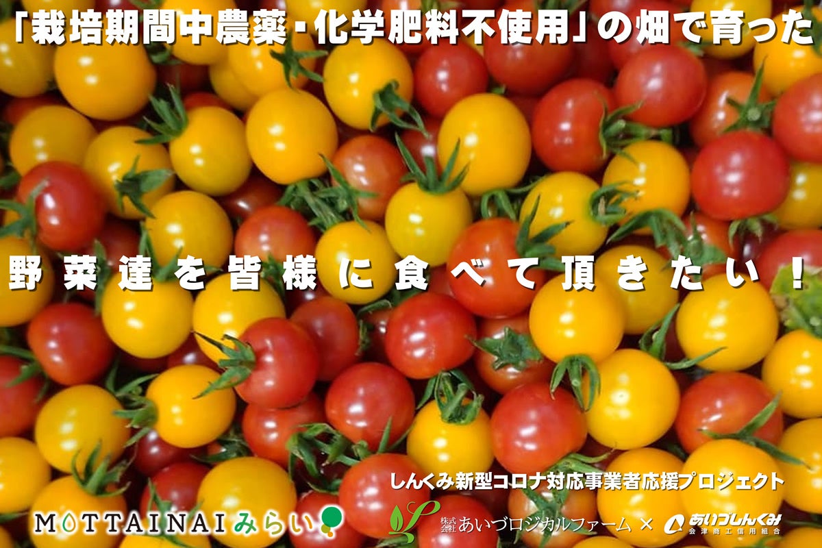 栽培期間中農薬・化学肥料不使用」の畑で育った野菜達を皆様に食べて