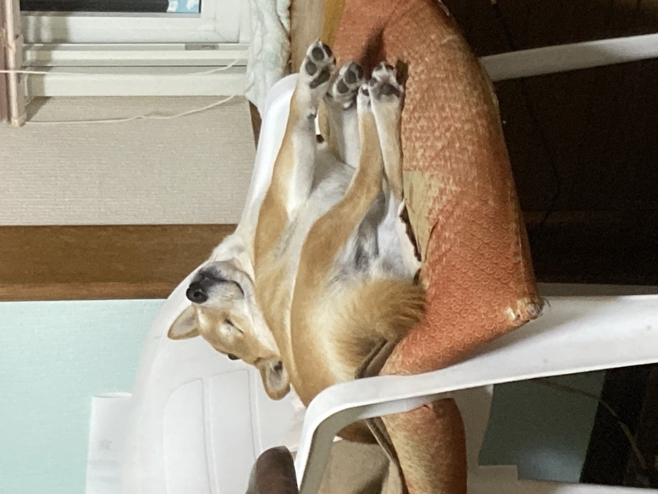 5番目のメイン画像