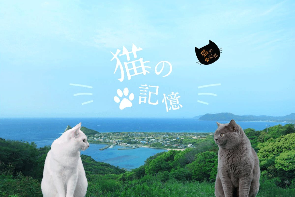 糸島発 映画「猫の記憶」製作支援プロジェクト CAMPFIRE (キャンプファイヤー)