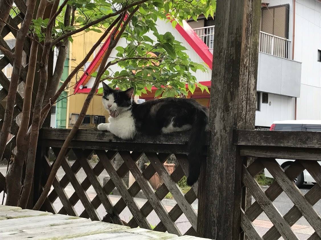 街中の小さな夏祭り実行委員会 役員会 Campfire キャンプファイヤー 街中の小さな夏祭り実行委員会 役員会 Campfire キャンプファイヤー