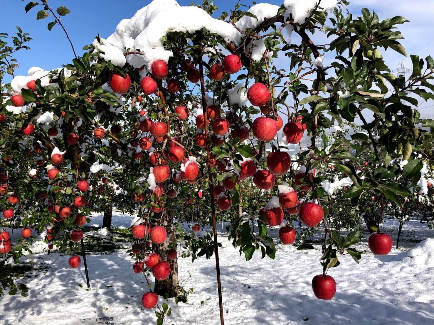 4番目のメイン画像