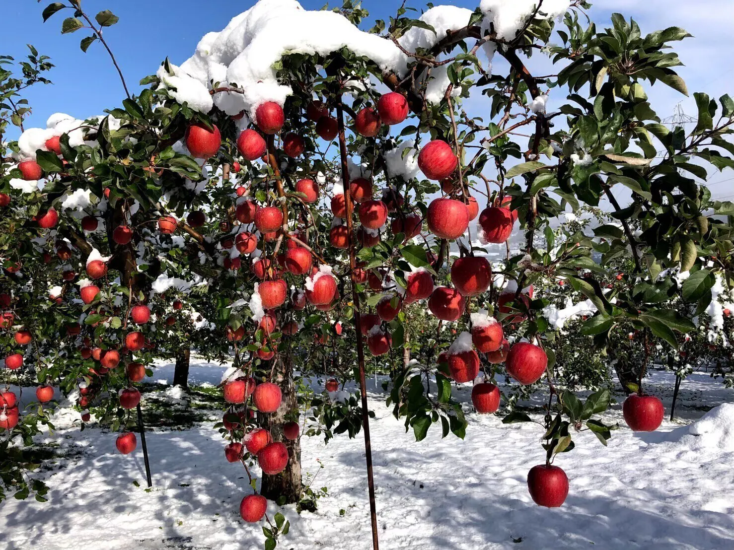 4番目のメイン画像