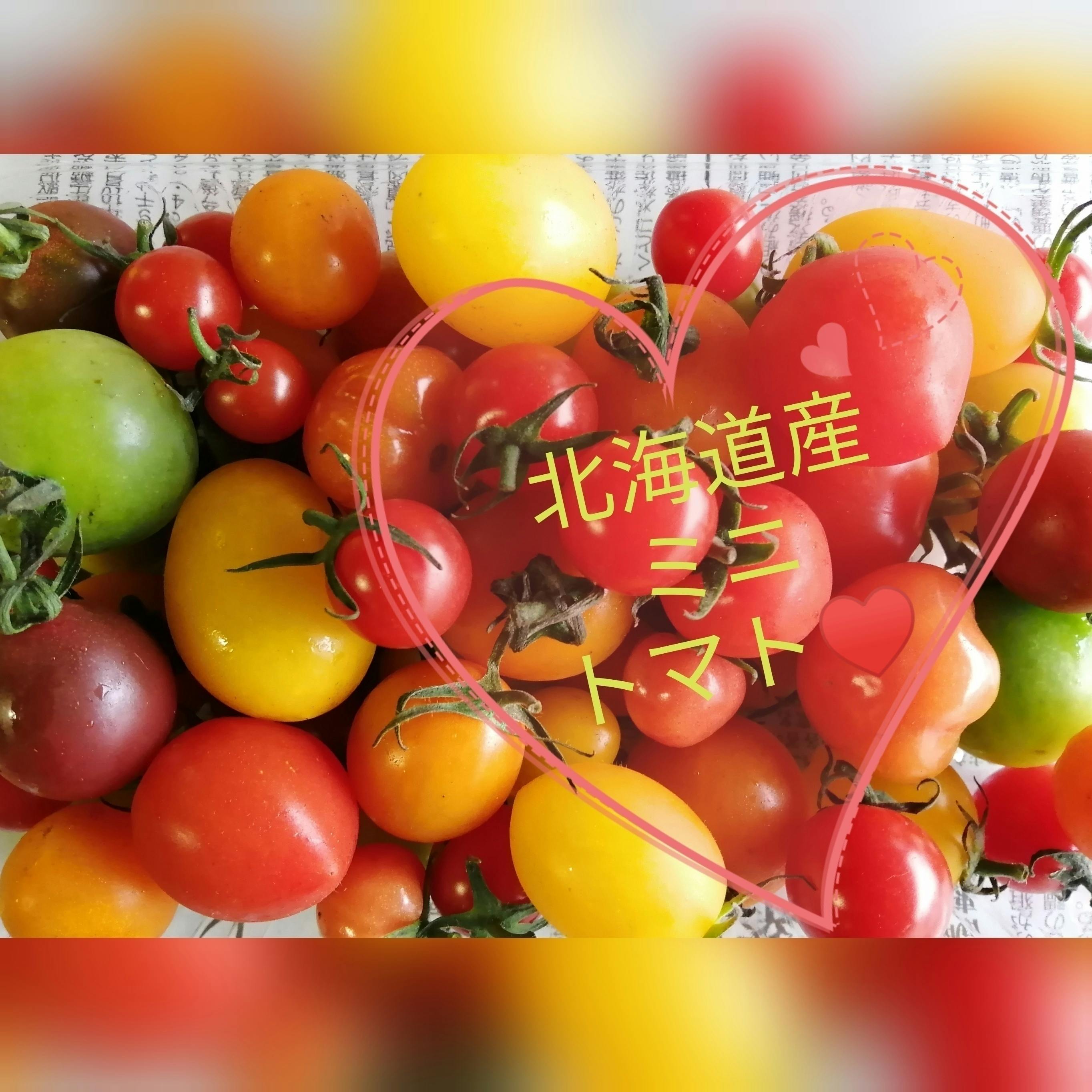 北海道のとうもろこし 畑直送 朝収穫し当日発送 Campfire キャンプファイヤー 北海道のとうもろこし 畑直送 朝収穫し当日発送 Campfire キャンプファイヤー