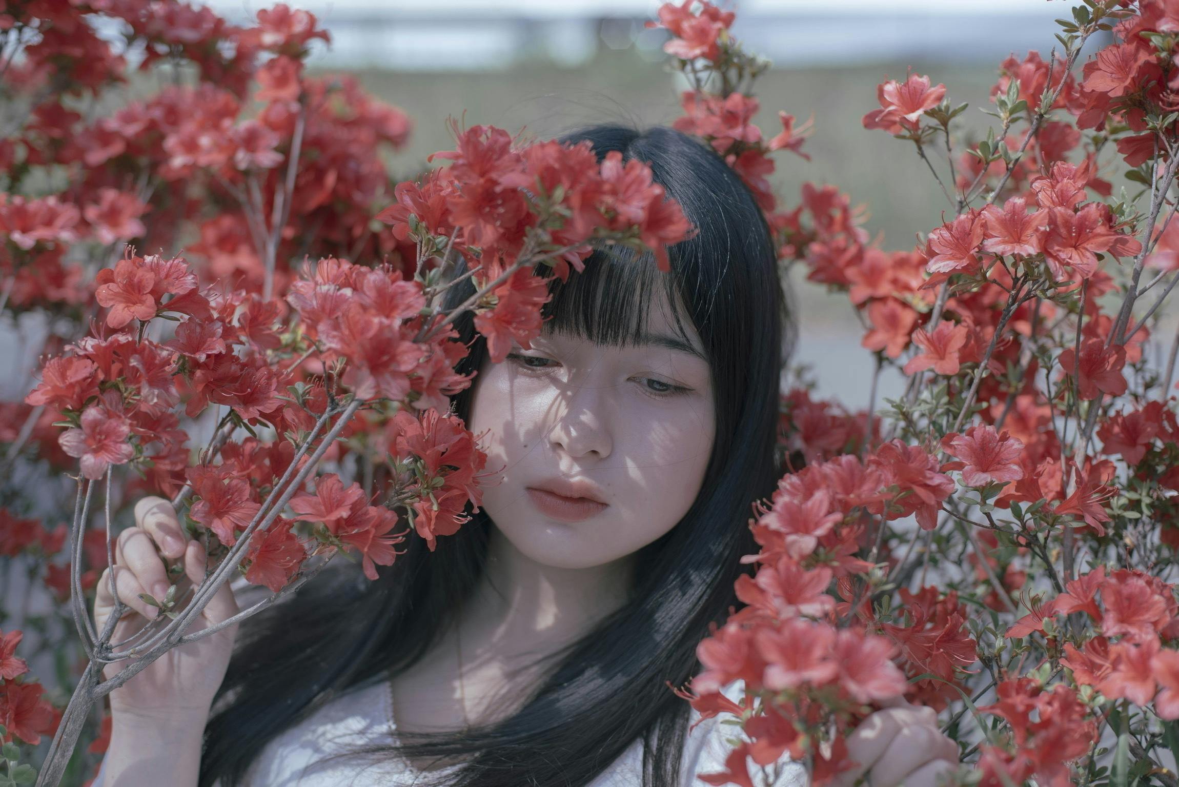 少女と花の写真集プロジェクト第3弾 花岡春菜 雑魚ドール Campfire キャンプファイヤー 少女と花の写真集プロジェクト第3弾 花岡春菜 雑魚ドール Campfire キャンプファイヤー