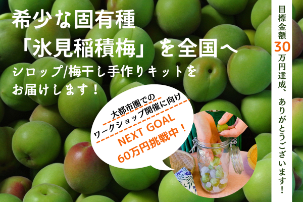 富山発！梅の固有種「氷見稲積梅」を全国に広めて未来へ繋ぐ、梅