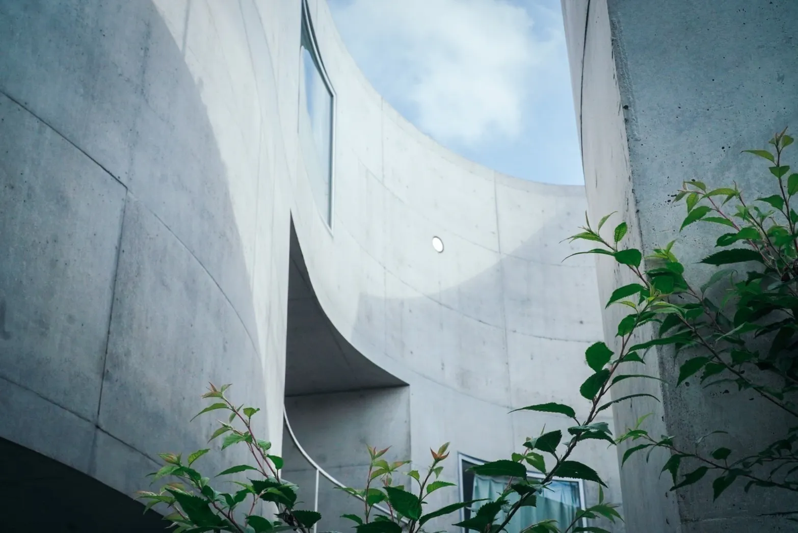 3番目のメイン画像