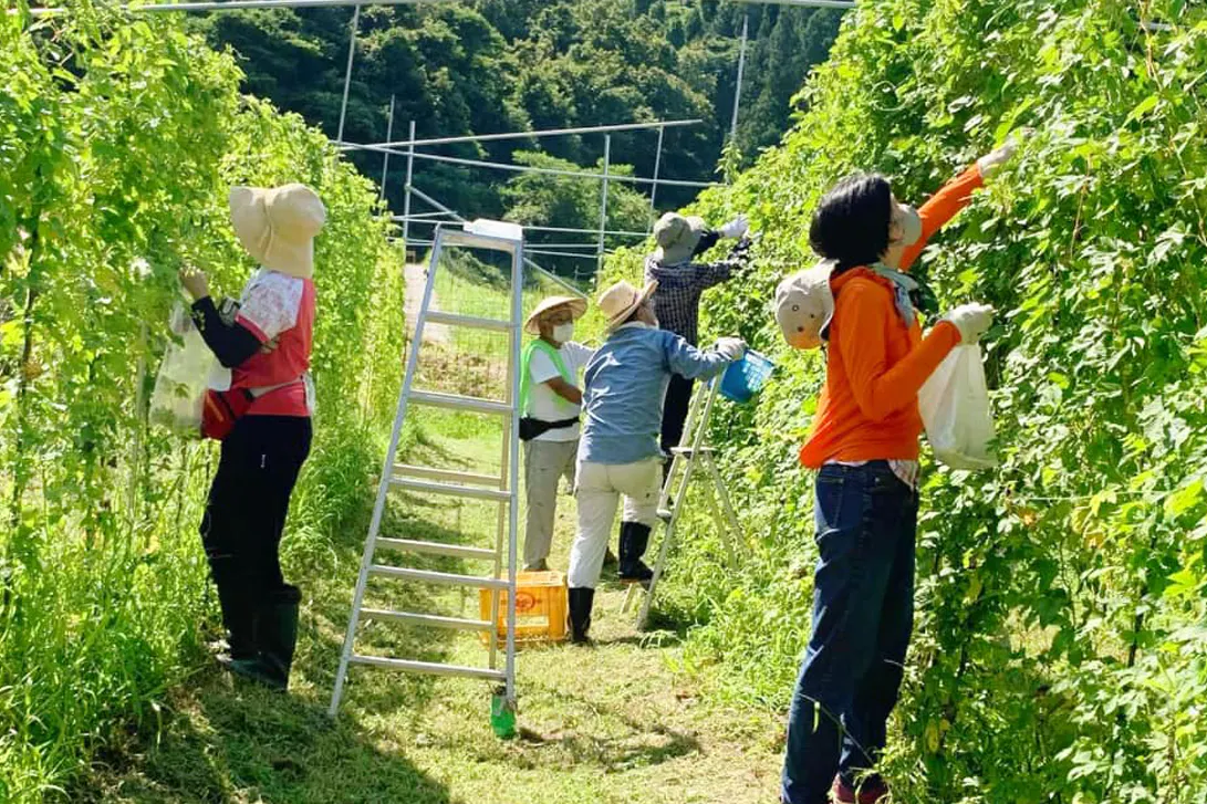 5番目のメイン画像