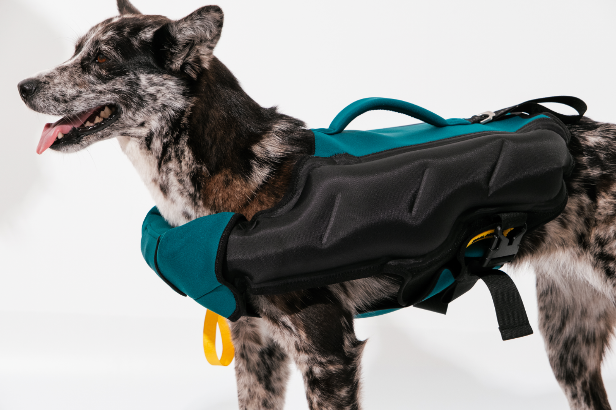 犬 テールハイ ライフジャケット イエロー Sサイズ TAILHIGH テール
