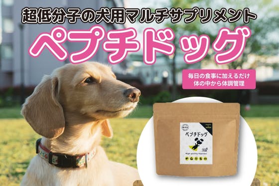 【愛犬が驚くほど健康長寿に！】超低分子ペプチドの