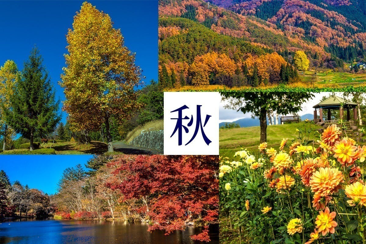 第2回 ストックフォトを撮影し続けるために必要な機材を更新 導入したい Campfire キャンプファイヤー 第2回 ストックフォトを撮影し続けるために必要な機材を更新 導入したい Campfire キャンプファイヤー