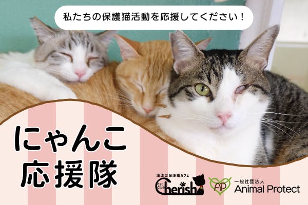 AnimalProtect「にゃんこ応援隊!」