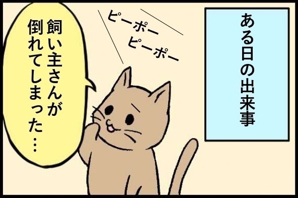 高齢者 ペットの社会問題を題材とした紙芝居を作成したい Campfire キャンプファイヤー 高齢者 ペットの社会問題を題材とした紙芝居を作成したい Campfire キャンプファイヤー