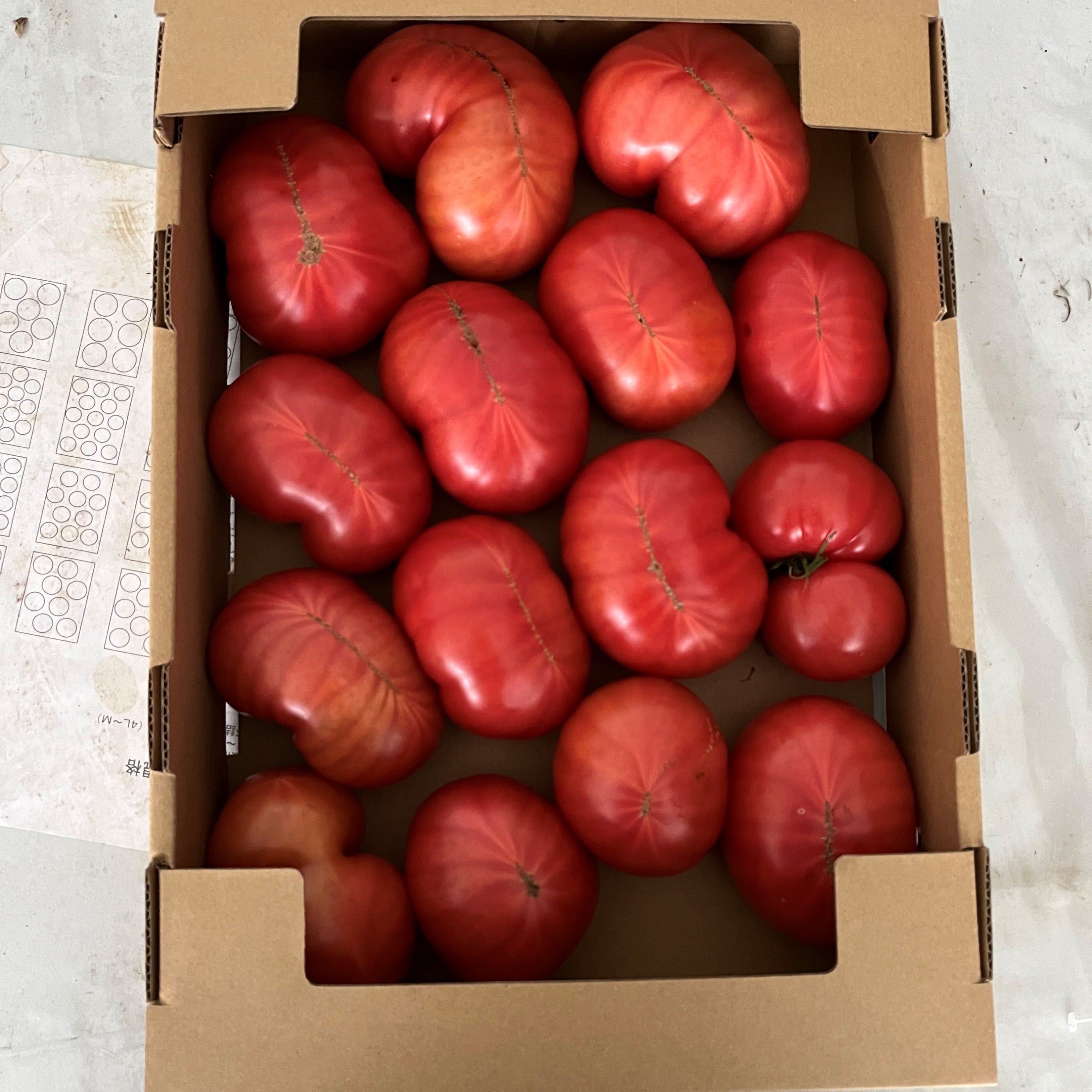 3番目のメイン画像