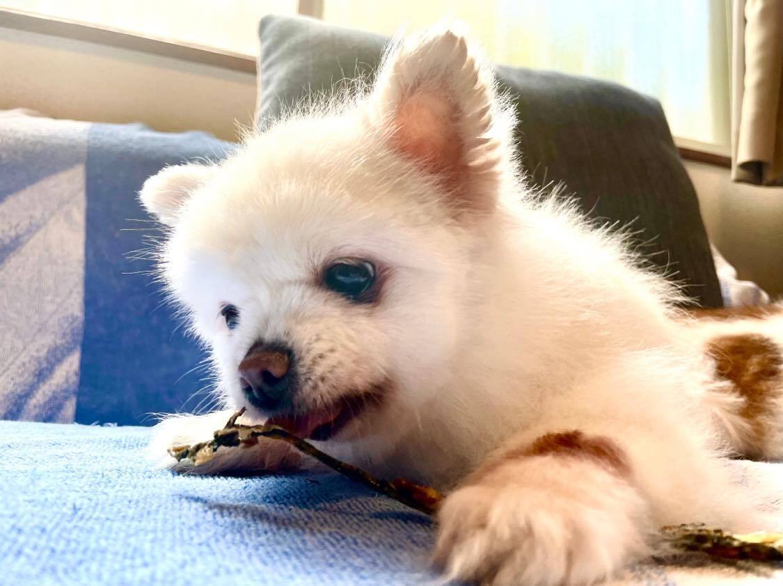 4番目のメイン画像