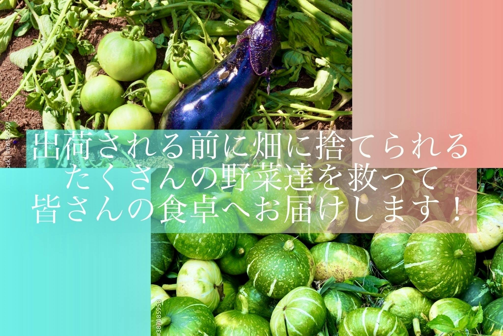 フードロス 美味しい無農薬 有機野菜 シンデレラ野菜 を食べて廃棄から救おう の支援者一覧 Campfire キャンプファイヤー フードロス 美味しい無農薬 有機野菜 シンデレラ野菜 を食べて廃棄から救おう の支援者一覧 Campfire キャンプファイヤー