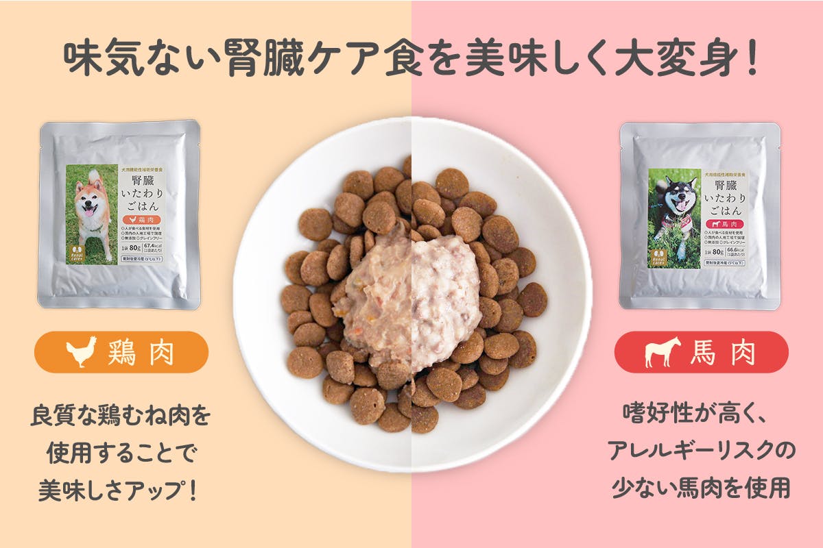 本命ギフト 腎臓いたわりごはん 鶏肉 犬用 80g×12袋 送料無料 同梱不可