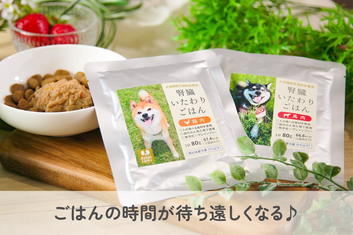 美味しい療法食をワンちゃんに！ 腎臓いたわりごはん【先行販売