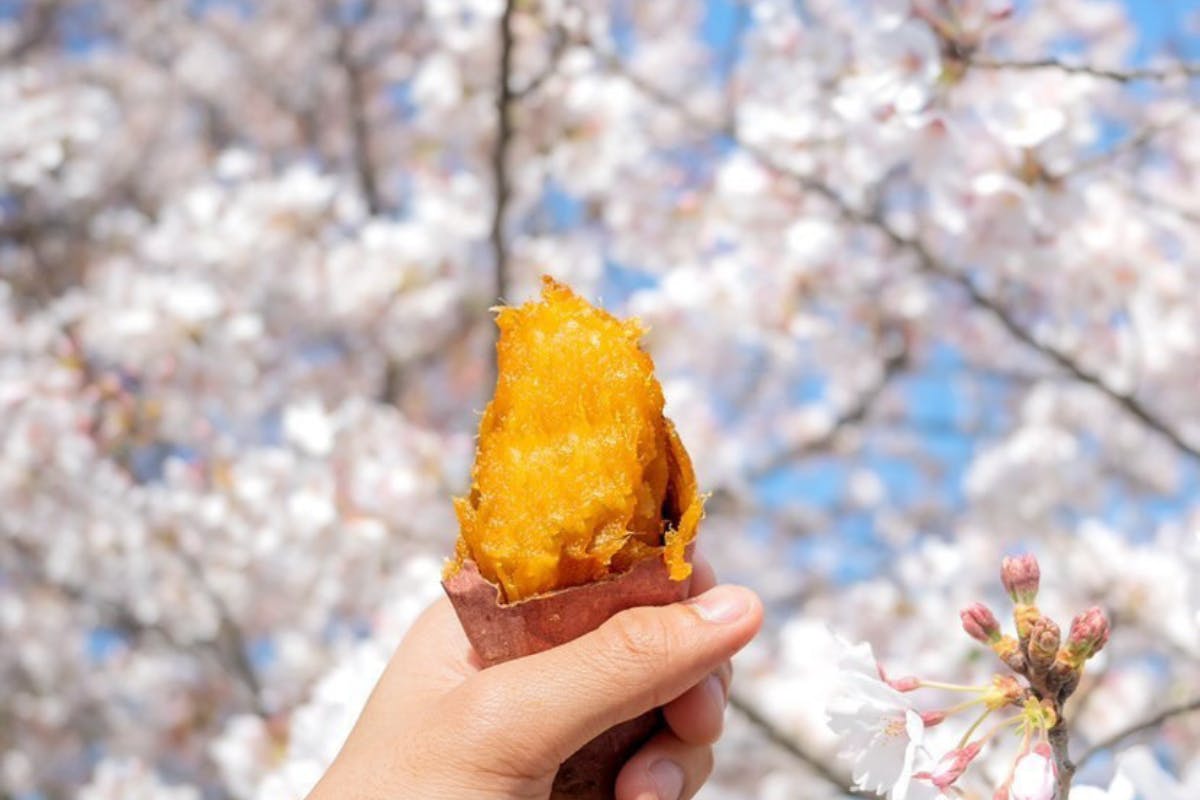 川崎大師の街に素敵な つぼ焼き芋専門店 を作りたい Campfire キャンプファイヤー 川崎大師の街に素敵な つぼ焼き芋専門店 を作りたい Campfire キャンプファイヤー