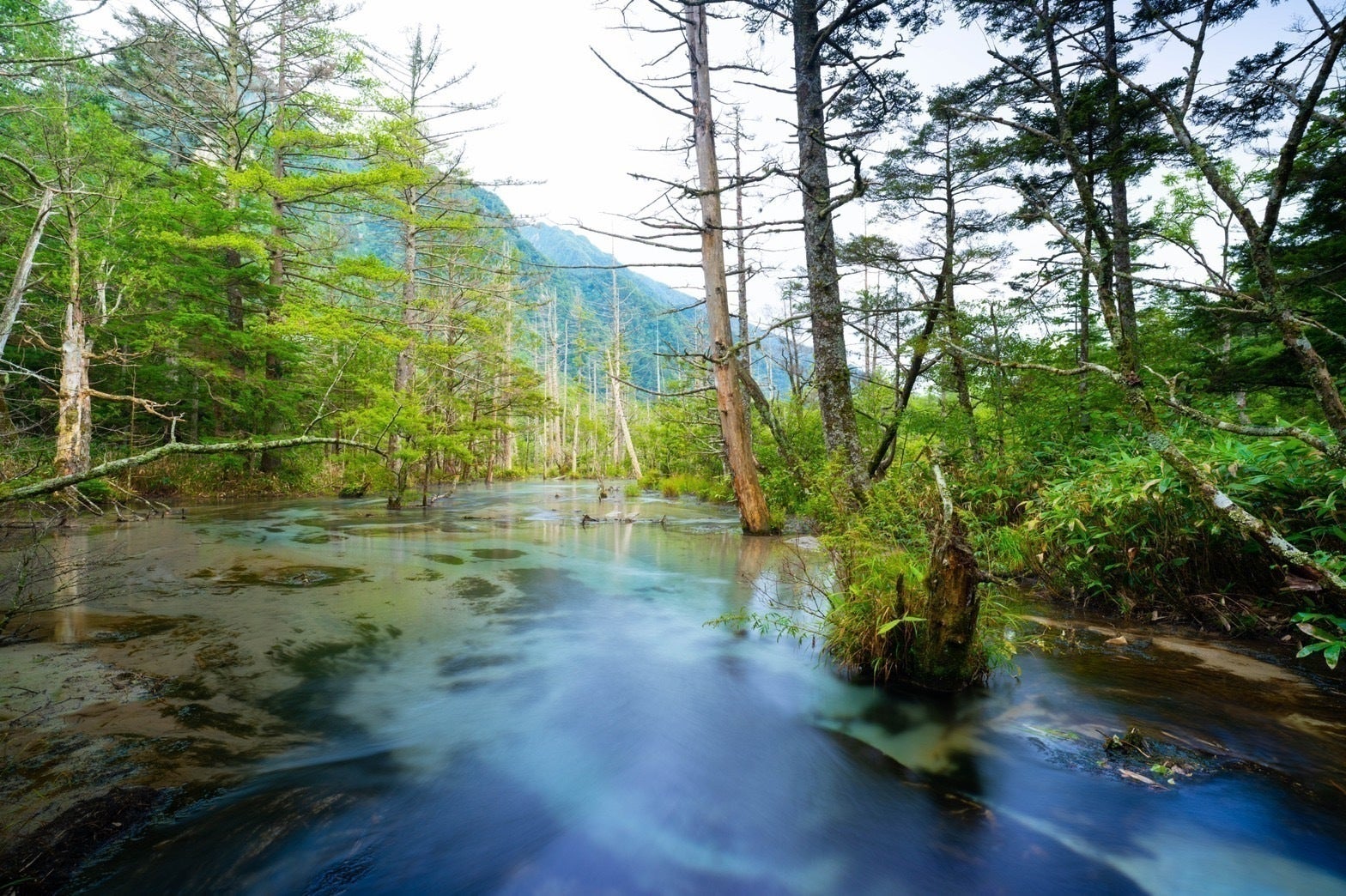 3番目のメイン画像