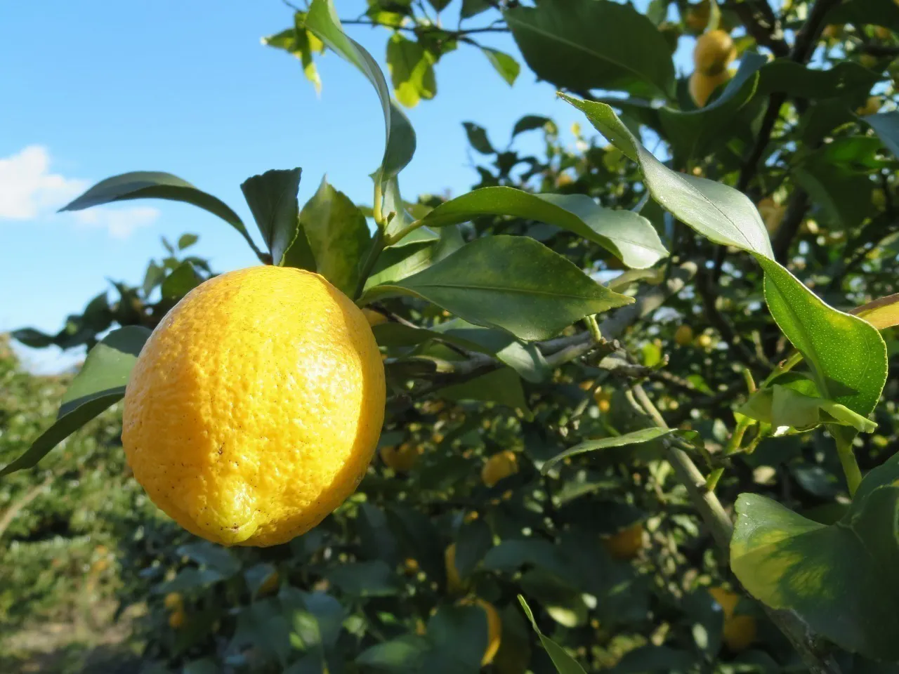 3番目のメイン画像