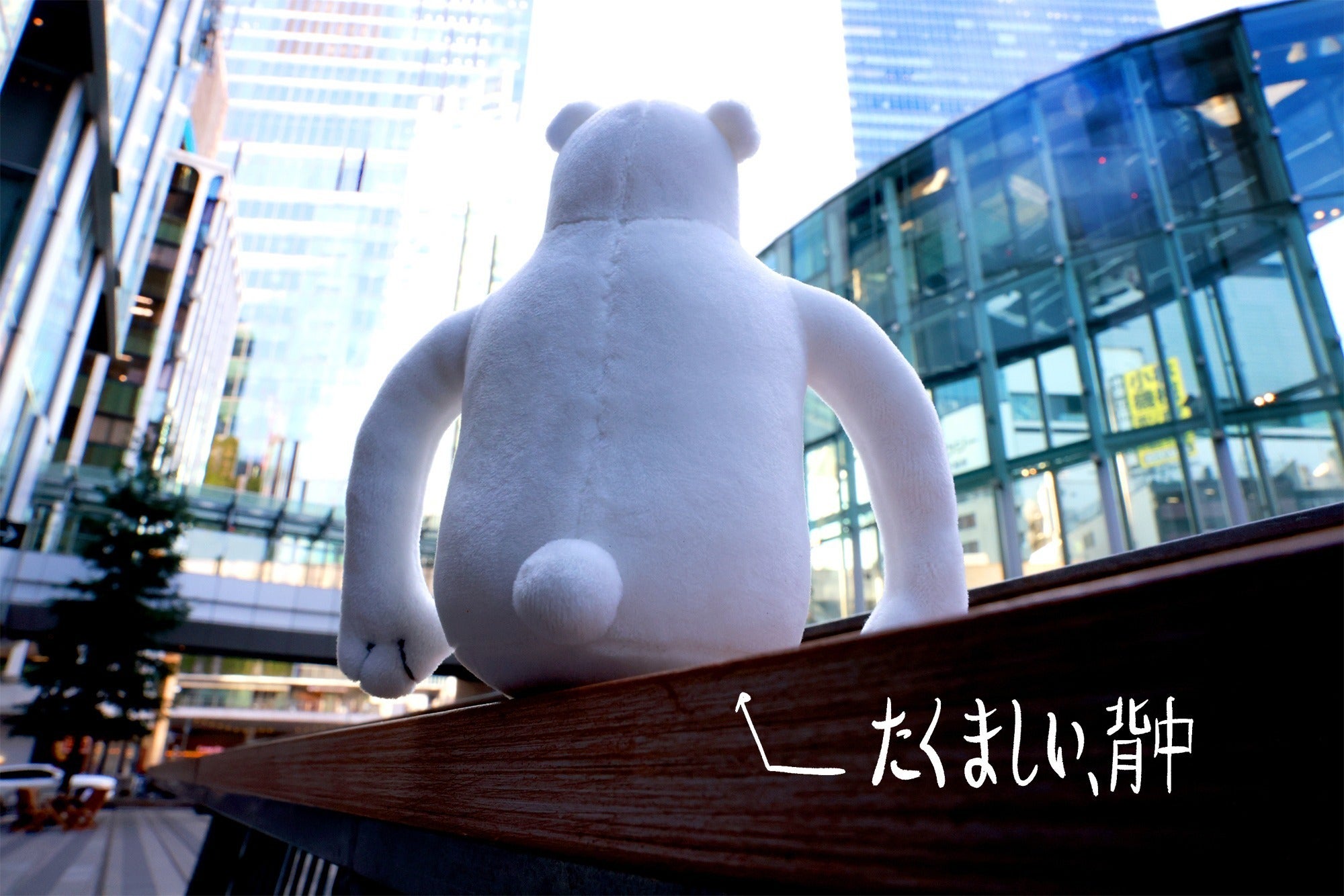 3番目のメイン画像