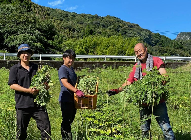 2番目のメイン画像